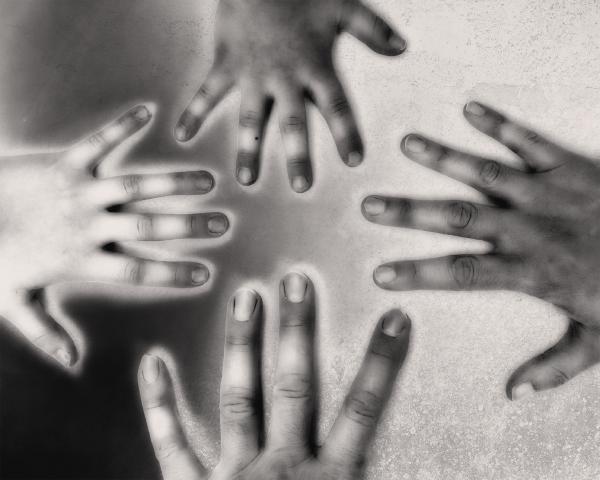 2025 Dogwood Photography Challenge